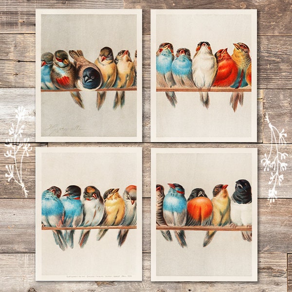 A Perch Of Birds Art Prints (Set of 4)