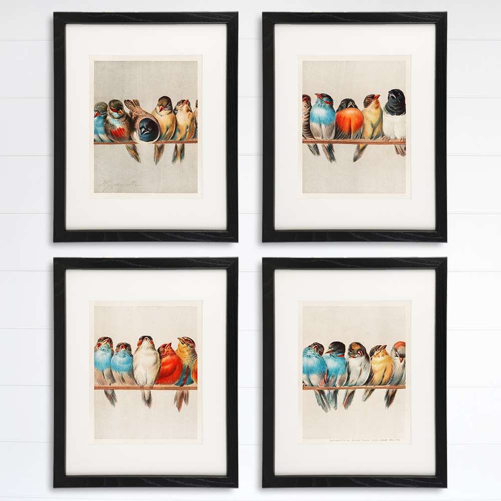 A Perch Of Birds Art Prints (Set of 4)