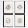 Dinosaurs, Footprints, Eye, Egg Wall Decor Art Prints (Set of 4) - 8x10s