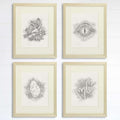 Dinosaurs, Footprints, Eye, Egg Wall Decor Art Prints (Set of 4) - 8x10s