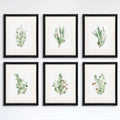 Eucalyptus Prints Wall Art - (Set of 6) - 8x10s