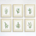 Eucalyptus Prints Wall Art - (Set of 6) - 8x10s