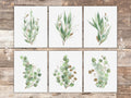 Eucalyptus Prints Wall Art - (Set of 6) - 8x10s