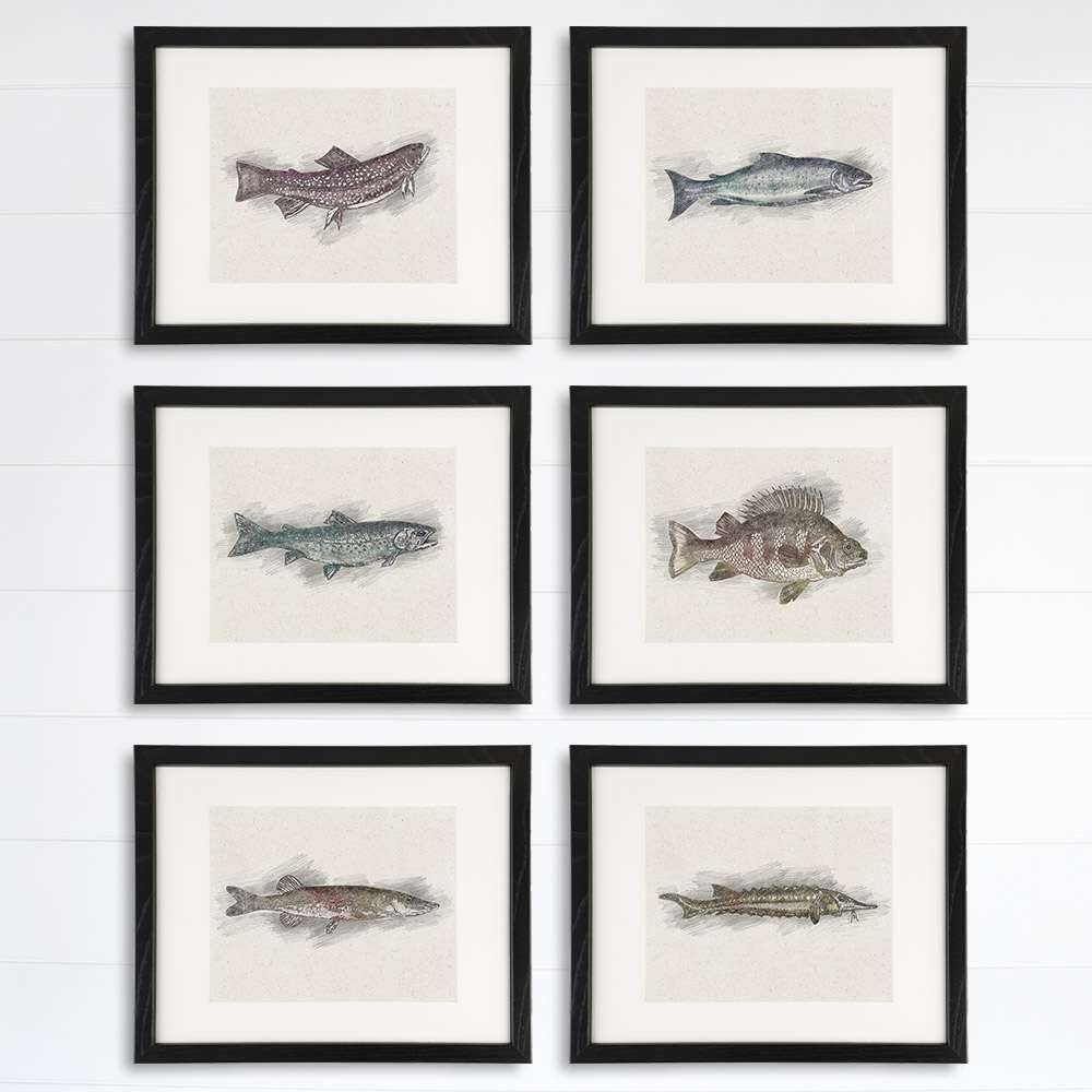Fish Sketches Wall Art Prints (Set of 6) - 8x10s