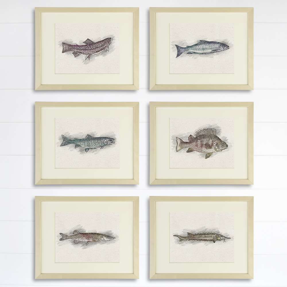 Fish Sketches Wall Art Prints (Set of 6) - 8x10s