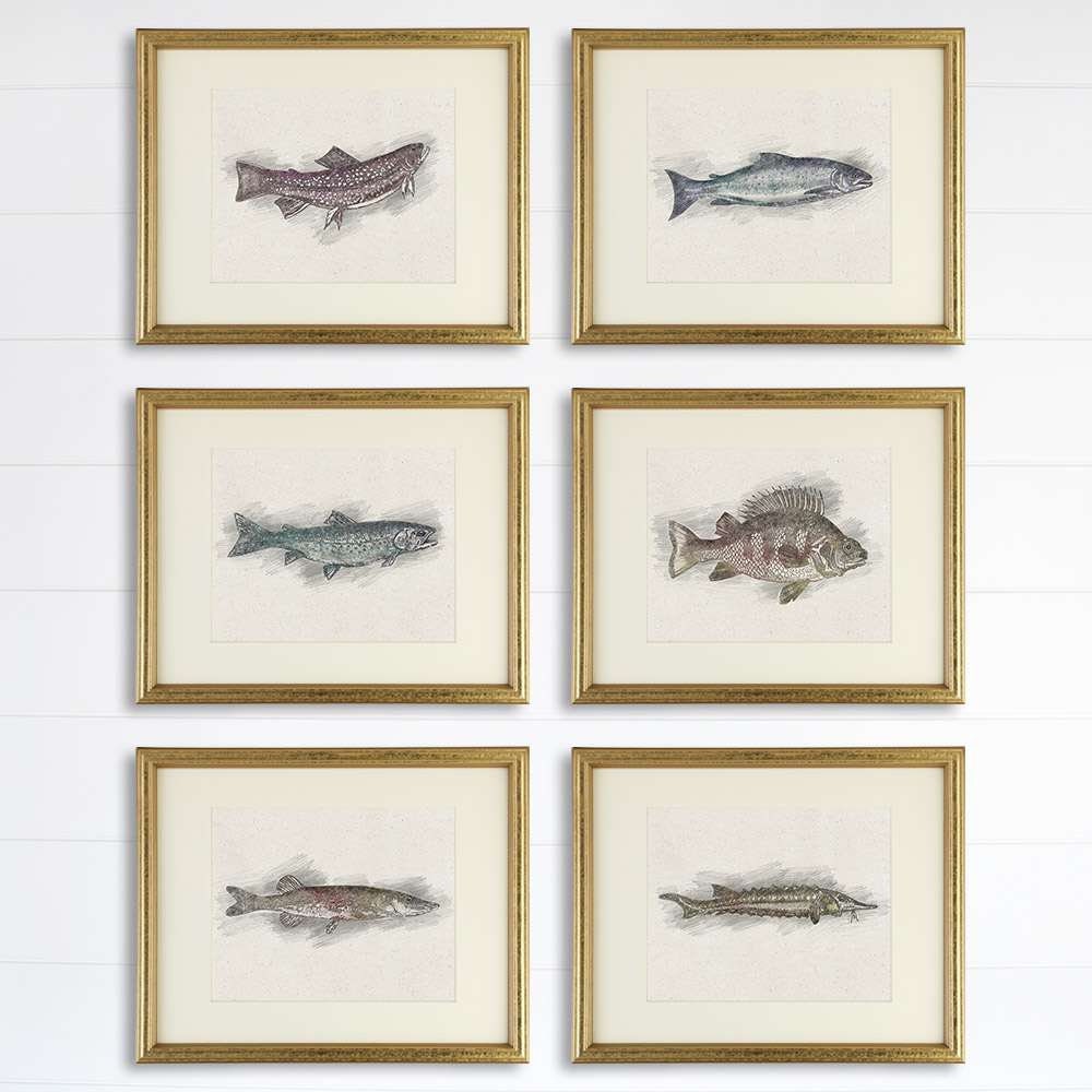 Fish Sketches Wall Art Prints (Set of 6) - 8x10s