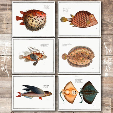 Exotic Vintage Fish Wall Art Prints (Set of 6) - 8x10s