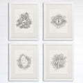 Dinosaurs, Footprints, Eye, Egg Wall Decor Art Prints (Set of 4) - 8x10s