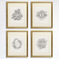 Dinosaurs, Footprints, Eye, Egg Wall Decor Art Prints (Set of 4) - 8x10s