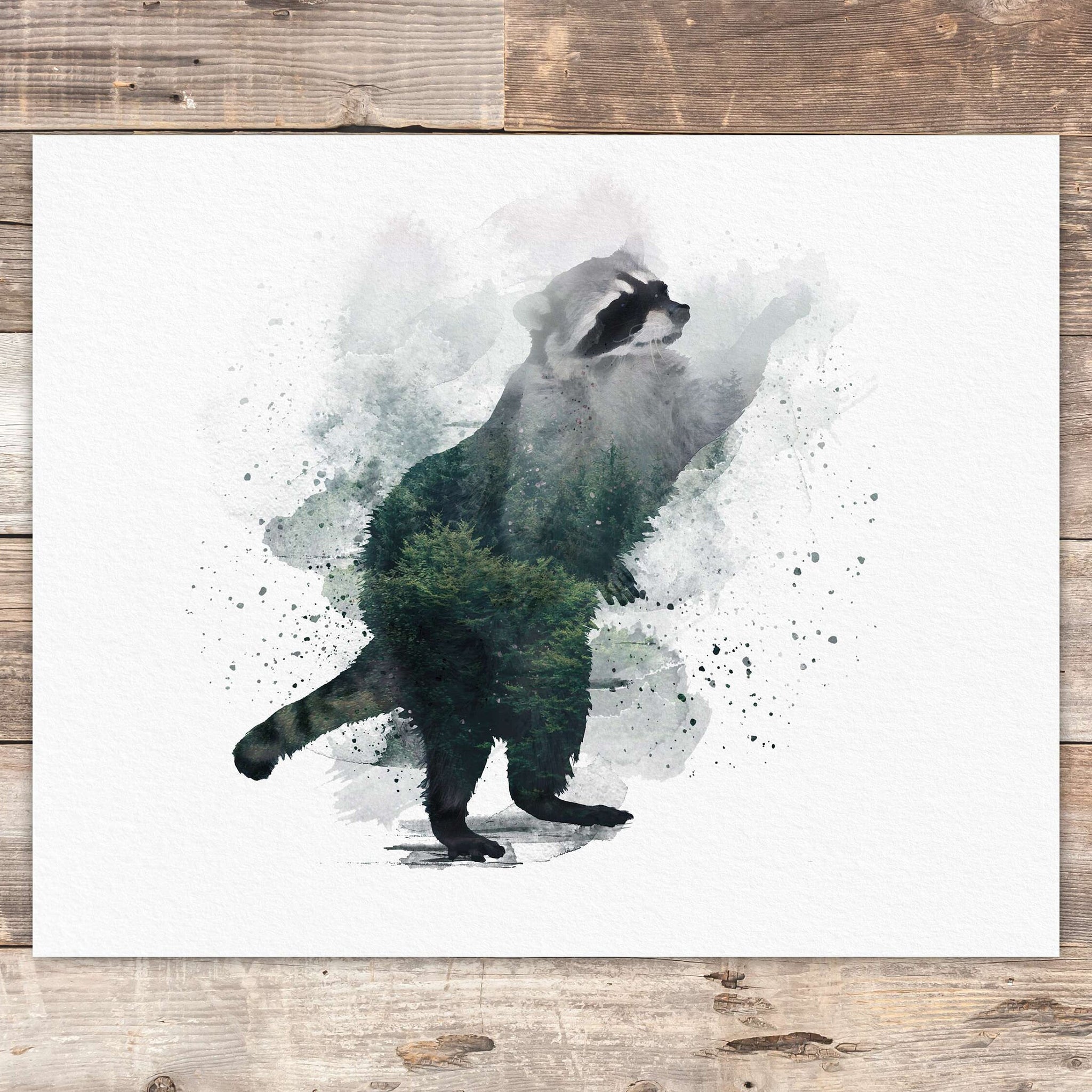 Double Exposure Raccoon Art Print - 8x10
