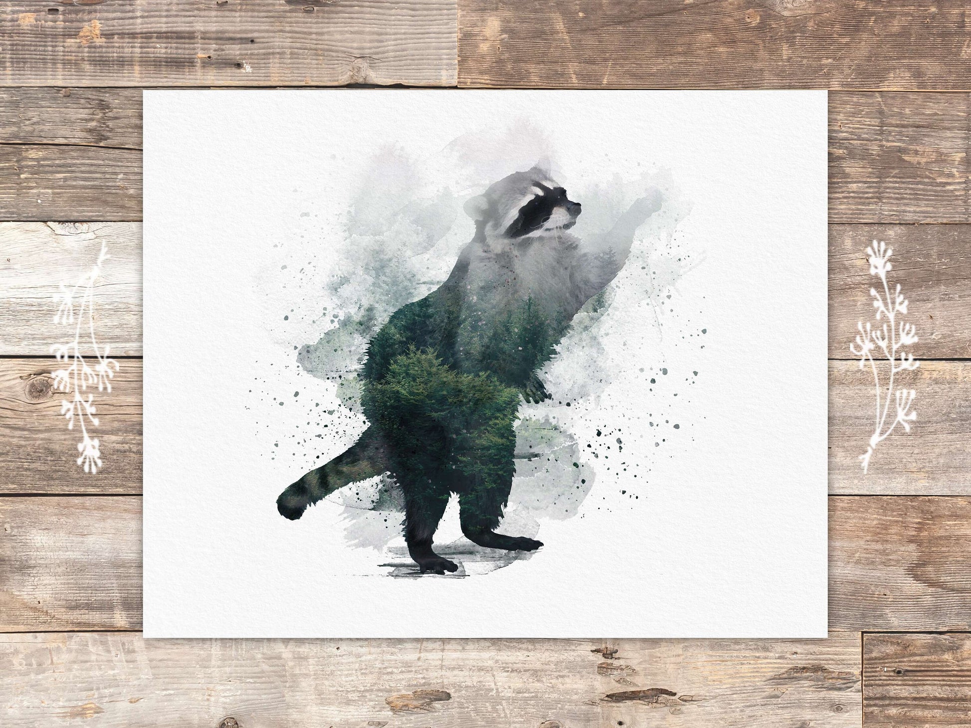 Double Exposure Raccoon Art Print - 8x10