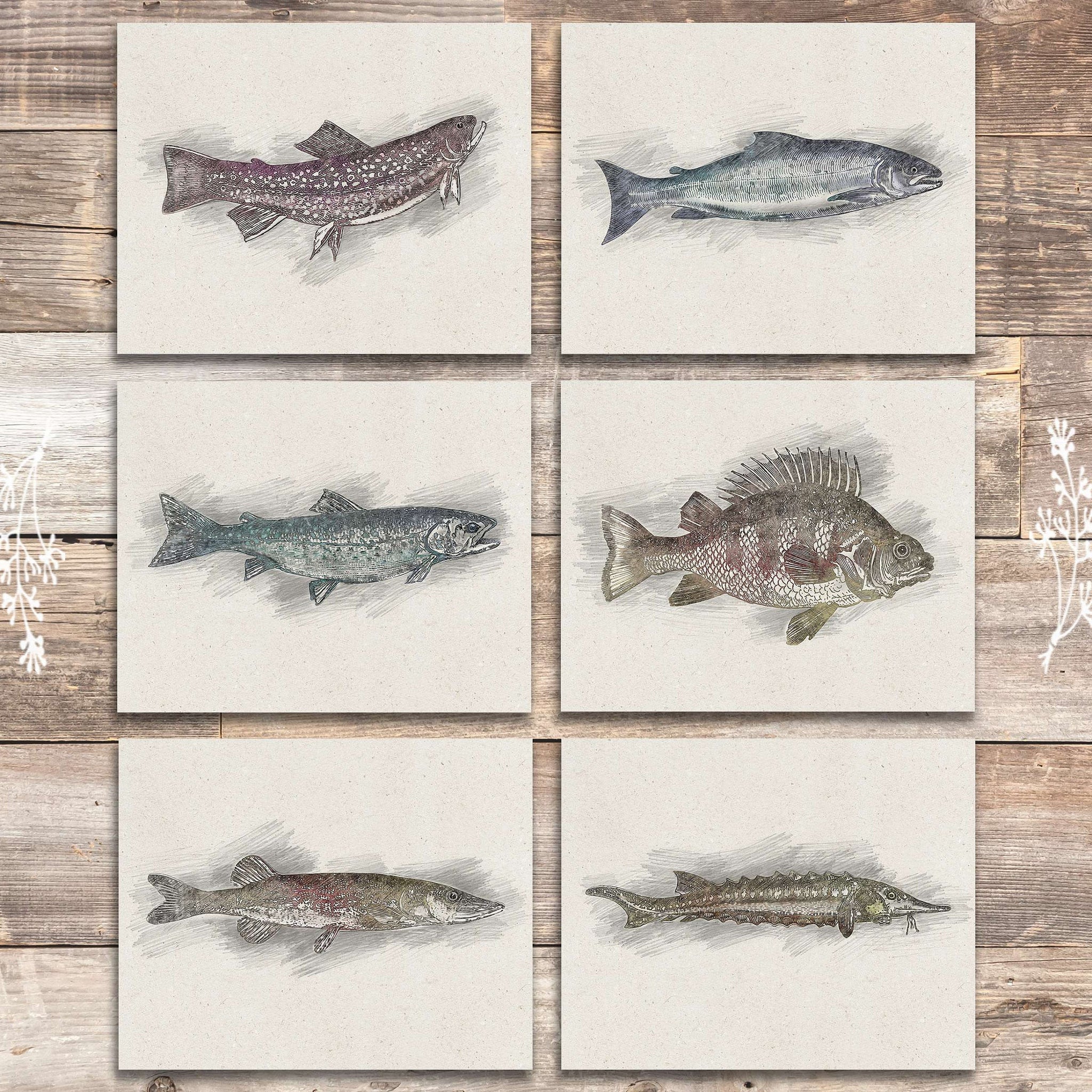 Fish Sketches Wall Art Prints (Set of 6) - 8x10s